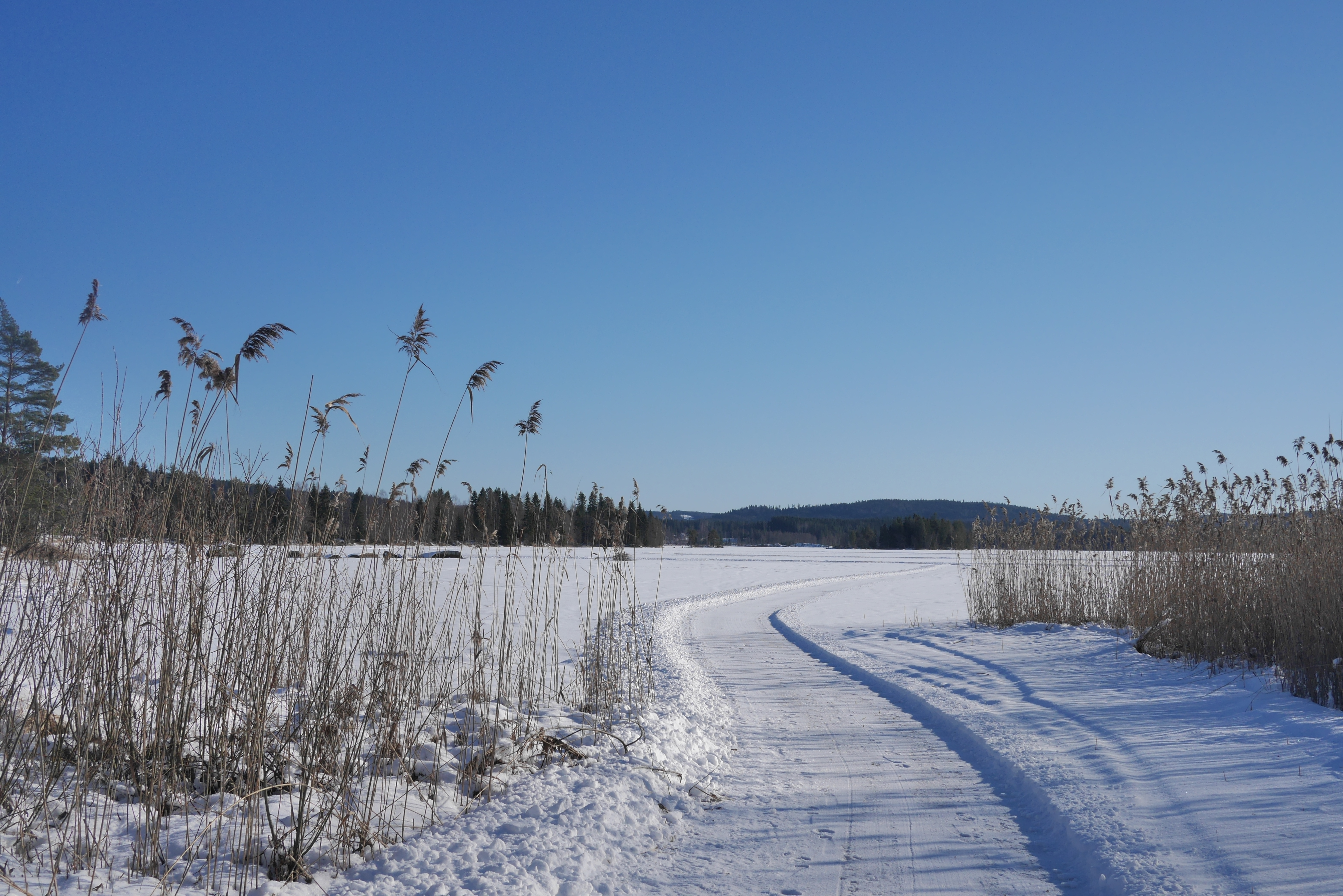 omgeving-zweden-winter-